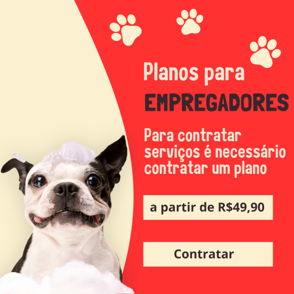 popup-planos